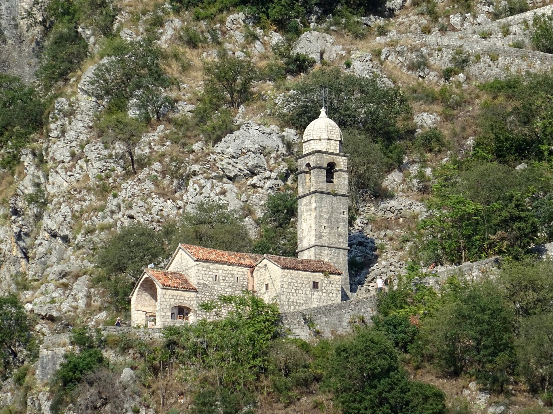 Kotor